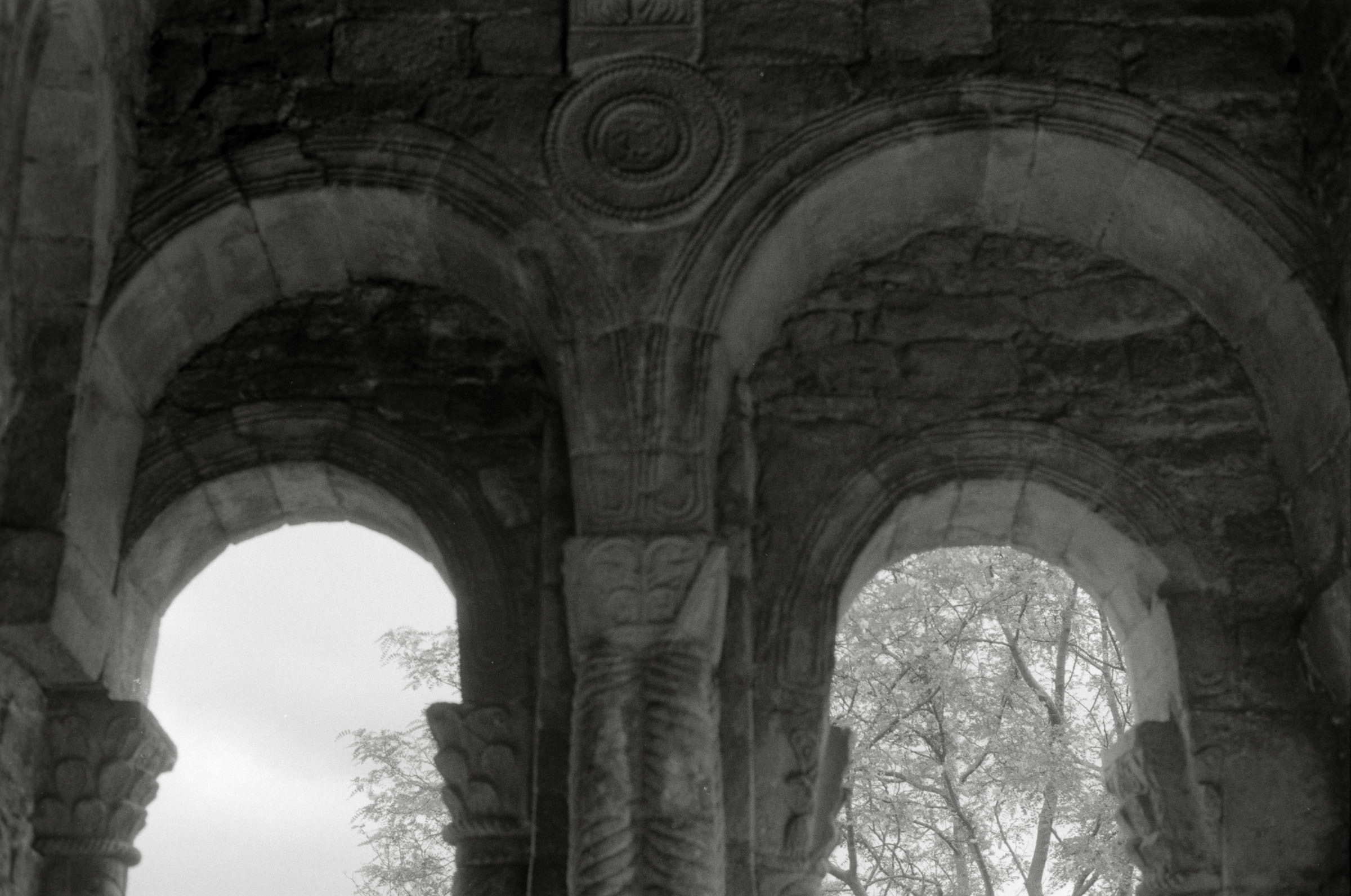 AHP F1995 05 011 sc240827 img07 NLP